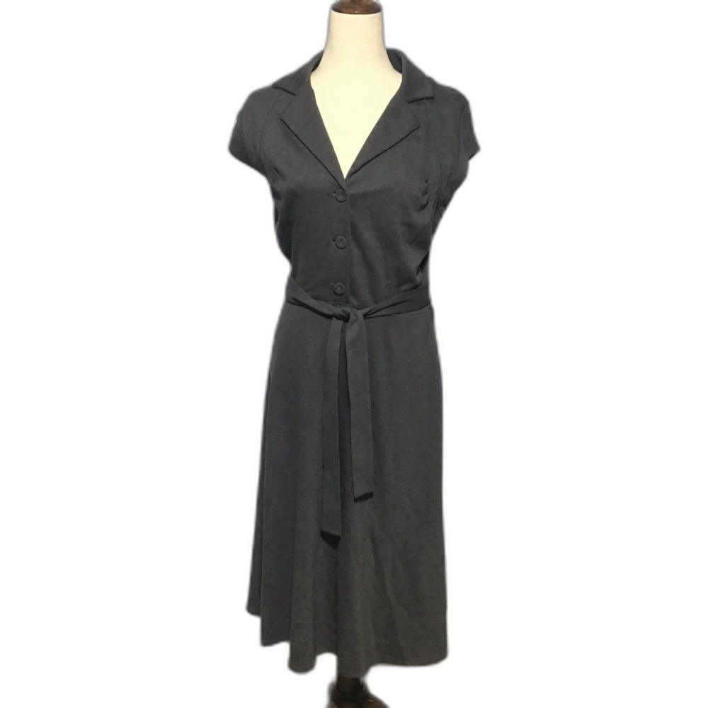 Calvin Klein Size 8 P Charcoal Gray Belted Women's Sheath Dress Cap Sleeve